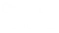 Logo de Google Partner