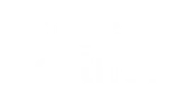 Insignia Oficial de Google Partner
